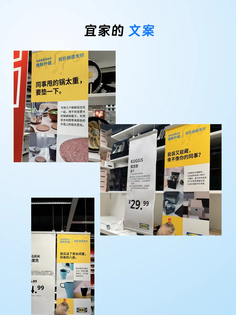 2024经济紧张什么行业盈利？三大逆势盈利行业崭露头角(图1)